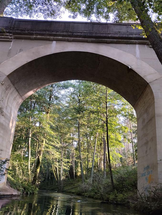 Dzika przyroda nad rzeką Piława